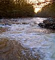 Mehoopany Creek Topaz