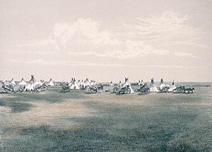 Metis camp 1873