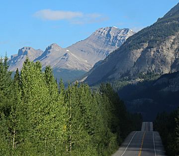Mount Coleman from Icefields Parkway.jpg