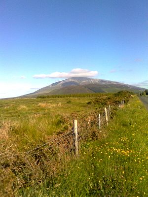 Nephin Mountain, County Mayo July 2010