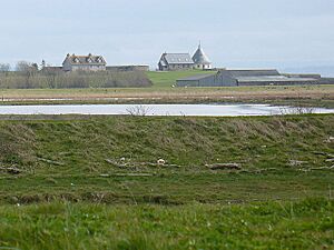 Newport wetlands - geograph.org,uk - 754834