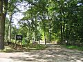 Norsey Wood, Billericay - geograph.org.uk - 53925