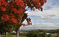 North Esplanade Park and the Centennial Bridge leading into Kansas in fall