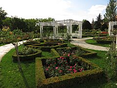 Parcul Rozelor - panoramio (3)