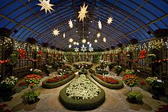 Phipps Conservatory winter 2015 Broderie Room