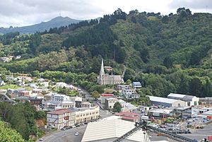 Port Chalmers from Lookout 002