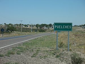 Puelches city sign
