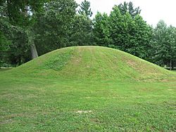 The Ranger Station Mound, part of the Zaleski Mound Group