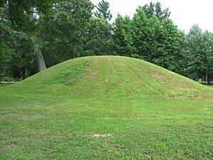 Ranger Station Mound, southern side
