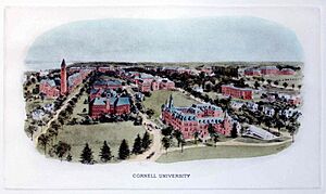 Rummell, Richard Cornell University