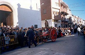 Main square: a local festival in honor of Saint Anthony
