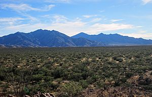 Santa Rita Mountains Arizona 2013.jpg