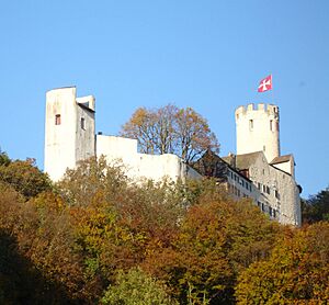 Schloss Neu Bechburg Oensingen