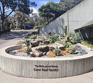 Scripps reef garden 2024