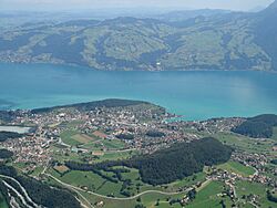 Spiez Luftaufnahme 2