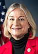 Susan Wild, Official Portrait, 115th Congress (cropped).jpg