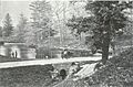 Taddle Creek - McCaul's Pond
