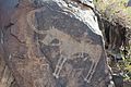 Tamgaly Petroglyph Horse