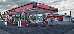 Texaco Gas Station (5699751015)