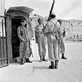 The Liberation of Rhodes, 1945 E30950