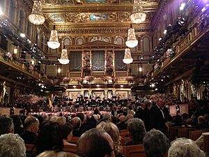 The New Years Eve Concert 2013 at The Wiener Musikverein (8336464777)