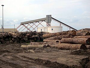 Timber for export at the Port of Pointe-Noire, Republic of Congo