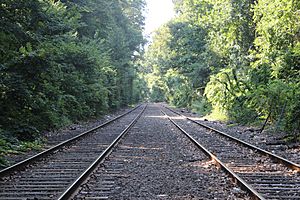 Train Tracks, LIRR