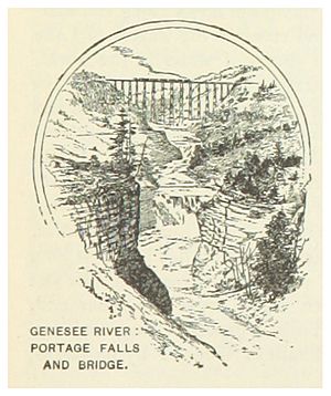 US-NY(1891) p585 GENESEE RIVER - PORTAGE FALLS AND BRIDGE