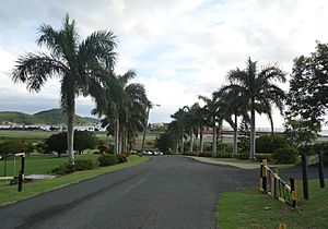 University of the Virgin Islands view from campus