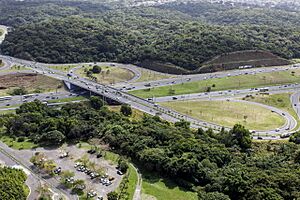 Viaduto Luís Eduardo Magalhães