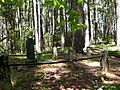 Waldo Cemetery - Cave Junction Oregon