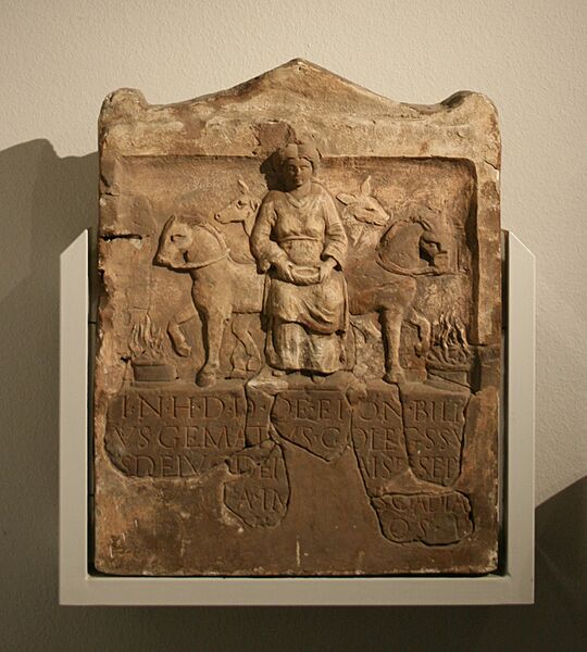 Wetteraumuseum Epona Kapersburg