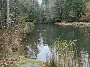Whatcom Creek Derby Pond