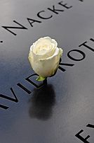 White-rose-at-9-11-memorial