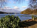 Windermere at Fell Foot Park - geograph.org.uk - 1736028