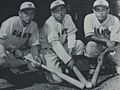 Yomiuri Giants4