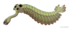 20191108 Opabinia regalis.png