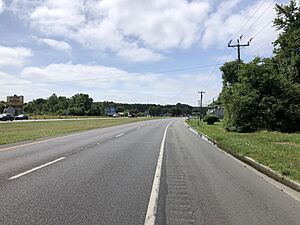 2022-07-08 10 47 04 View south along U.S. Route 113 (DuPont Boulevard) just south of Blueberry Lane in Frankford, Sussex County, Delaware