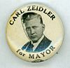 40-zeidler-mayoralpinback.jpg