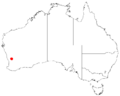 Acacia pharangitesDistMap690