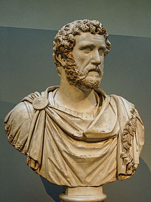Antoninus Pius BM Sc1463.jpg
