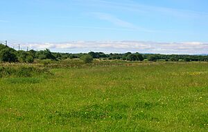 Ardeer - old seashore area