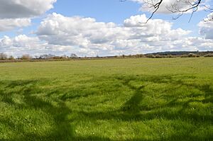 Arncott Bridge Meadows 2