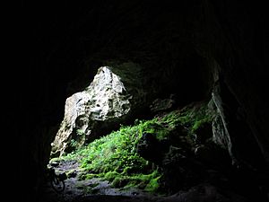 Ash Hole Cavern