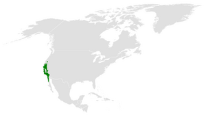 Baeolophus inornatus distribution map.png
