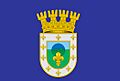 Bandera peñaflor