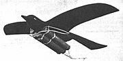 Bird-shaped rocket bomb of China 2