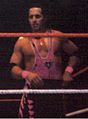 Bret Hart in 1995