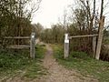 Bridleway through Brookes Nature Reserve - geograph.org.uk - 402069
