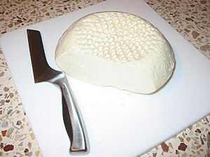 Bryndza